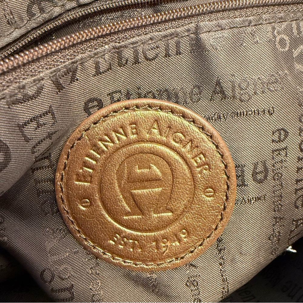 Etienne Aigner Bronze Pebbled Leather Slouchy Hobo Bag Braided Strap - Picture 2 of 16